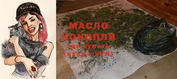 молекула духа Алексеевка